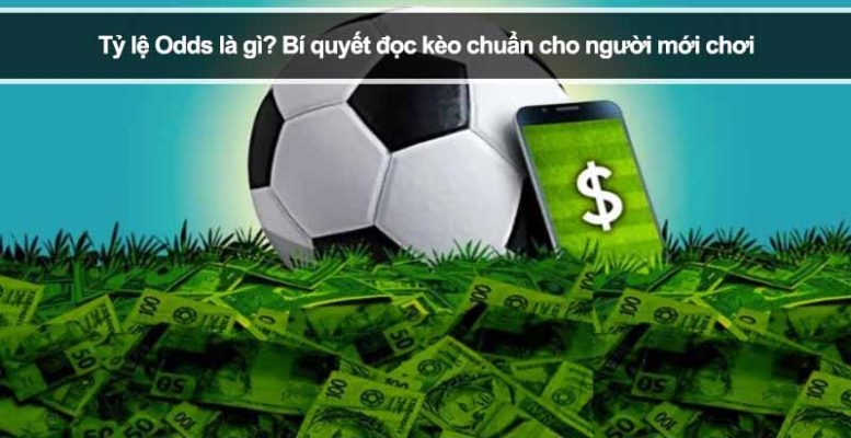 Kinh Nghiệm Soi Kèo Nhà Cái và Cách Đọc Biến Động Odds